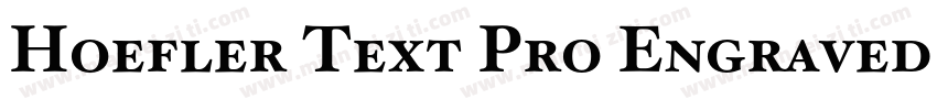 Hoefler Text Pro Engraved Bold字体转换